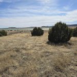 Vacant Land Lake Front Las Vegas New Mexico