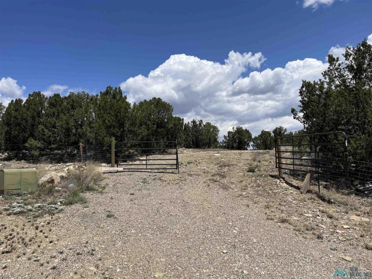 Land for Sale near Las Vegas New Mexico